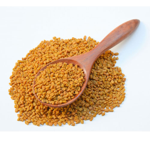 Fenugreek Seeds | મેથી