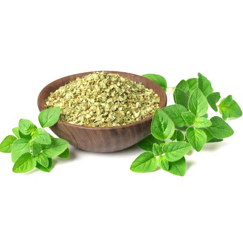 Oregano | ઓરેગાનો