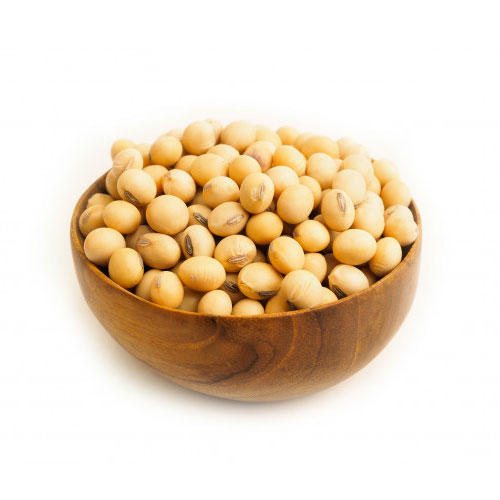 Soyabean | સોયાબીન