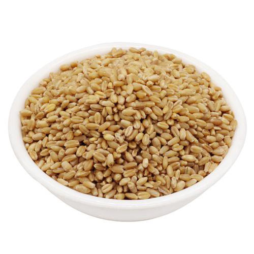 Wheat Sarbati Tukdi | ઘઉ ટુકડી