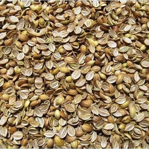 Coriander Seeds Granules | ધાણાના કુરિયા